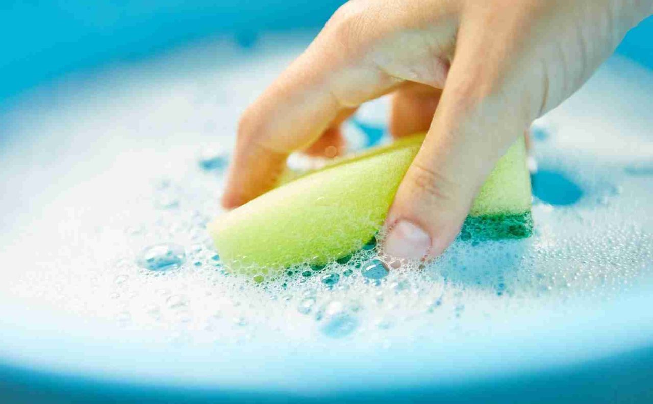 Pinot & Picasso Cleaning Sponge