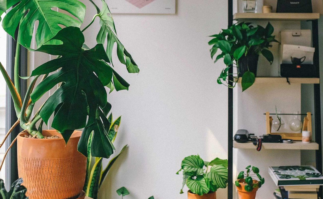 20 Things To Do After Christmas To Keep The Holiday Spirit | Pinot & Picasso