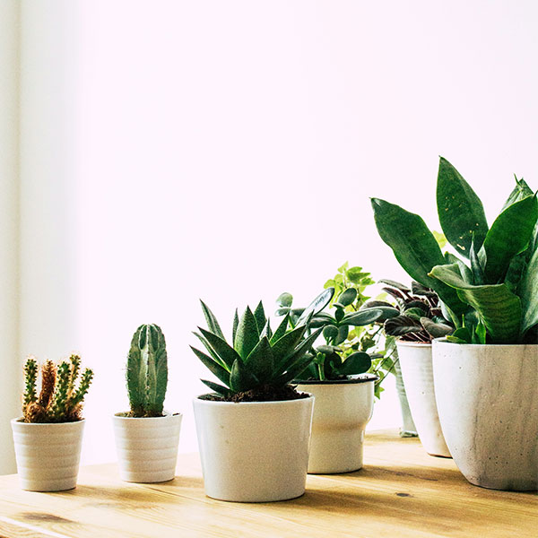 24 Sustainable Secret Santa Ideas For Your Workplace Or Family Gathering