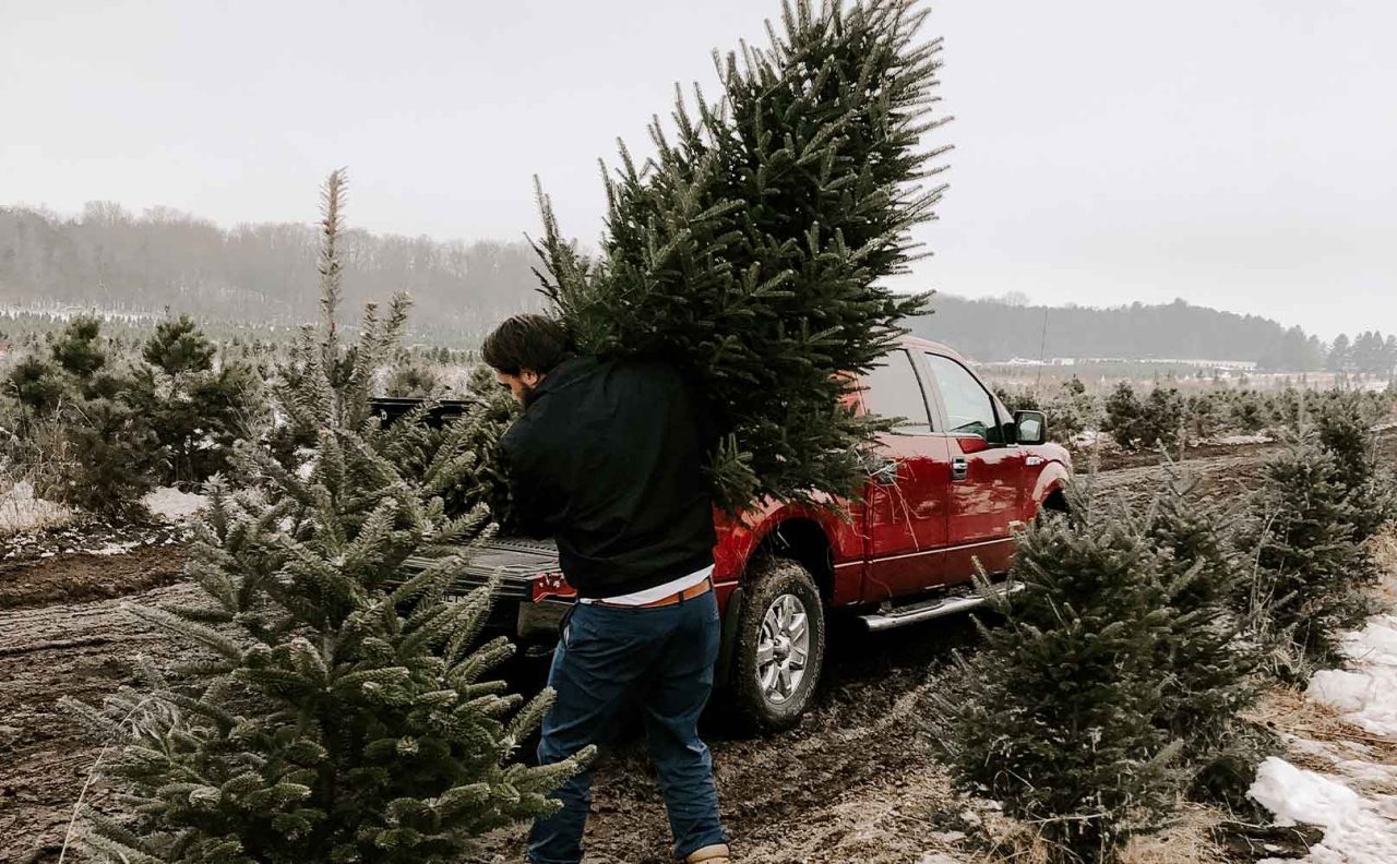18 Unmissable Christmas Activity Ideas in the UK for a Festive Celebration