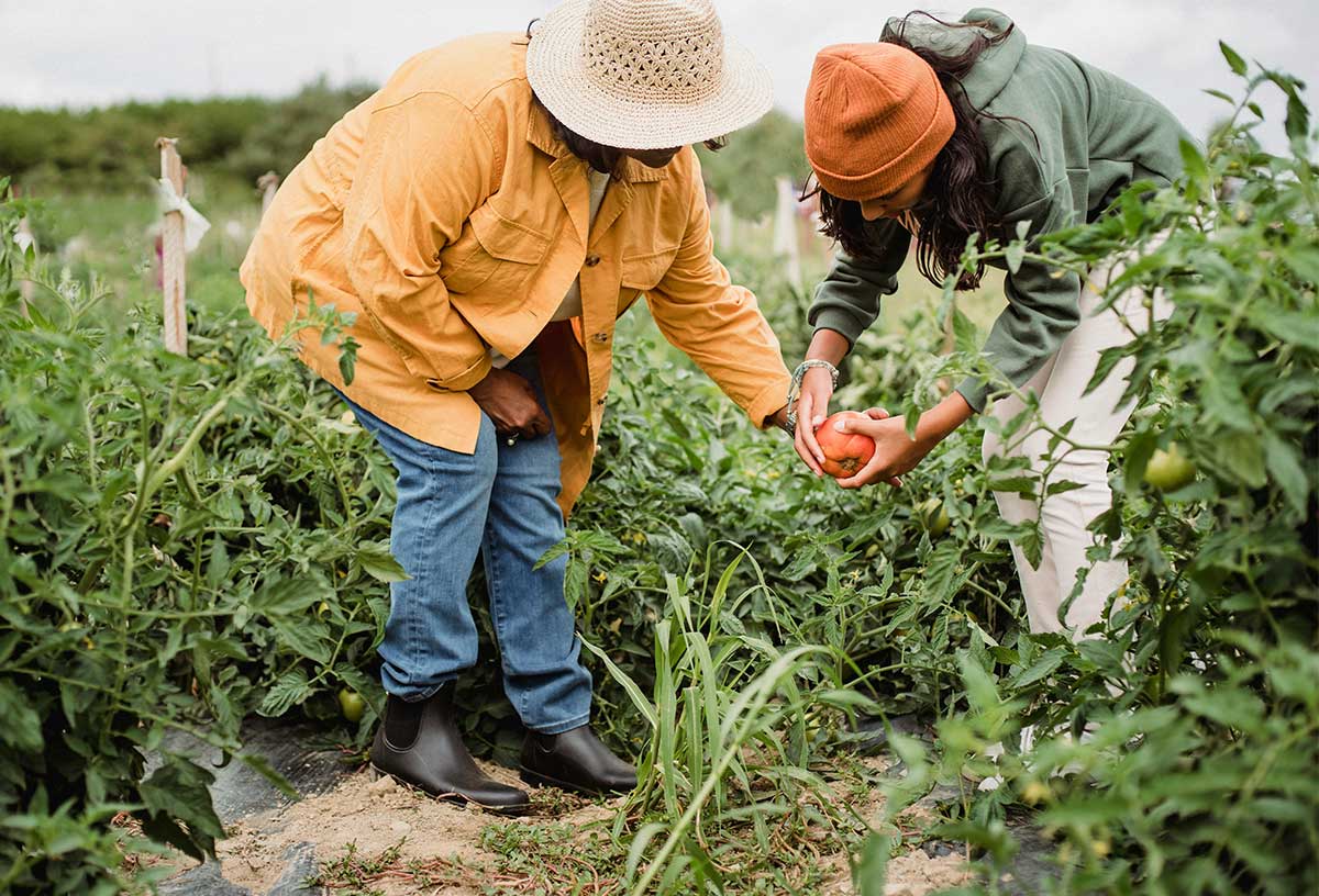 Spend a day out in the garden together